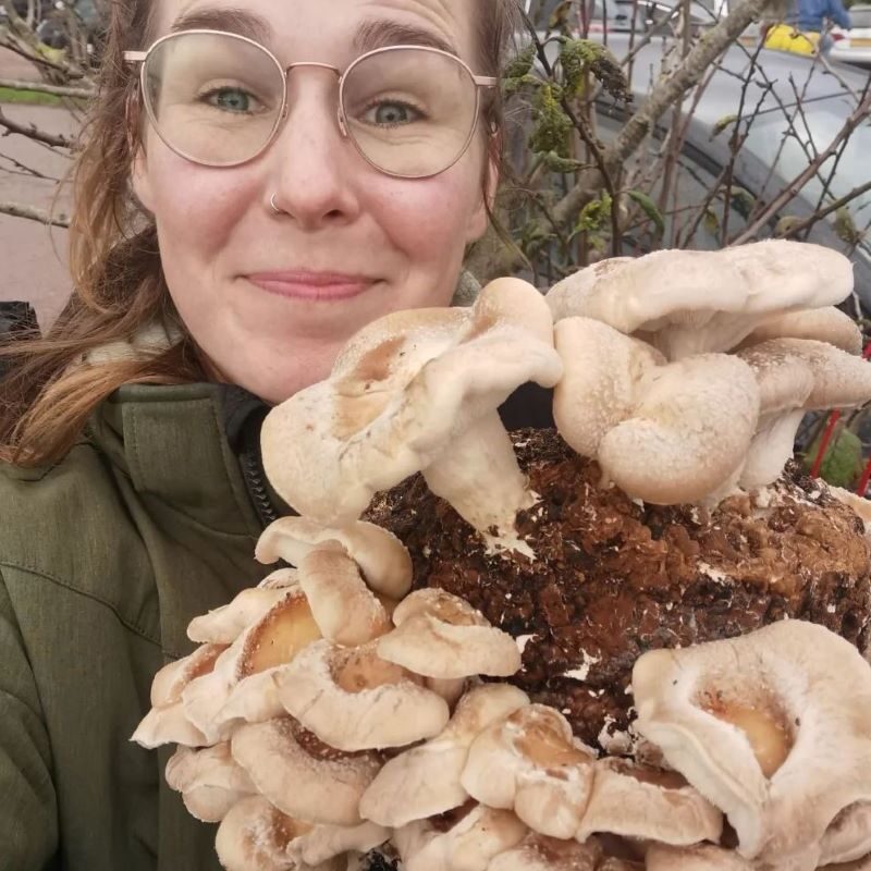 Katja wildflower expert at thegreenlist.nl.