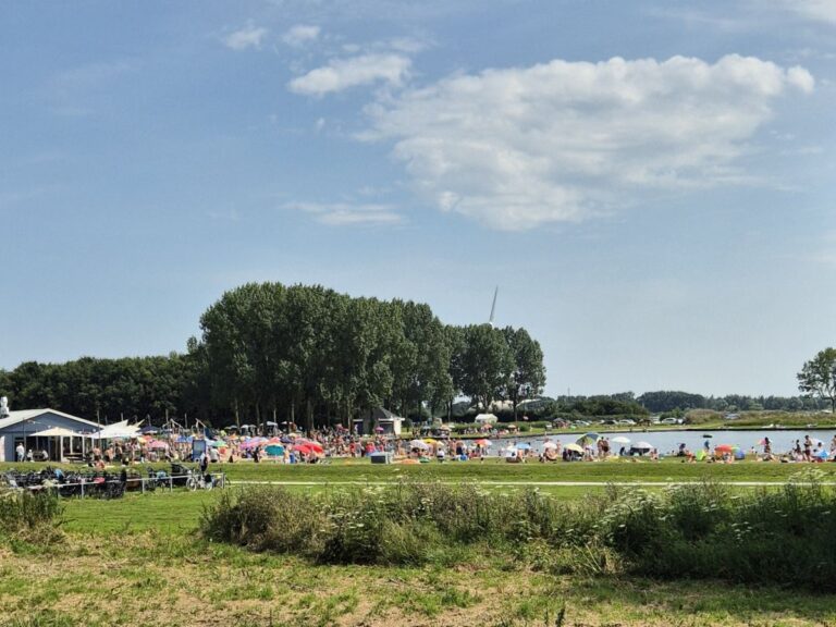 Blauwalg zwemwater.