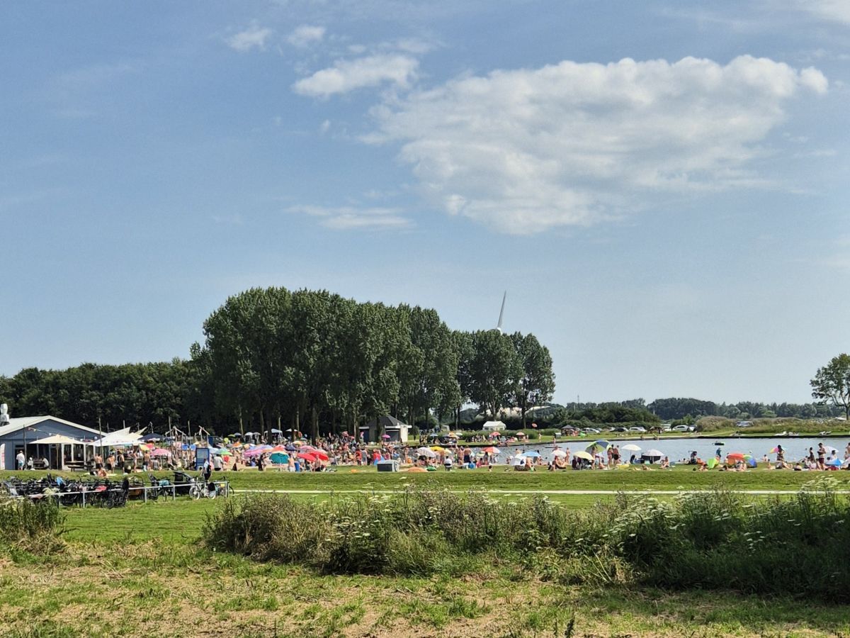 Blauwalg zwemwater.