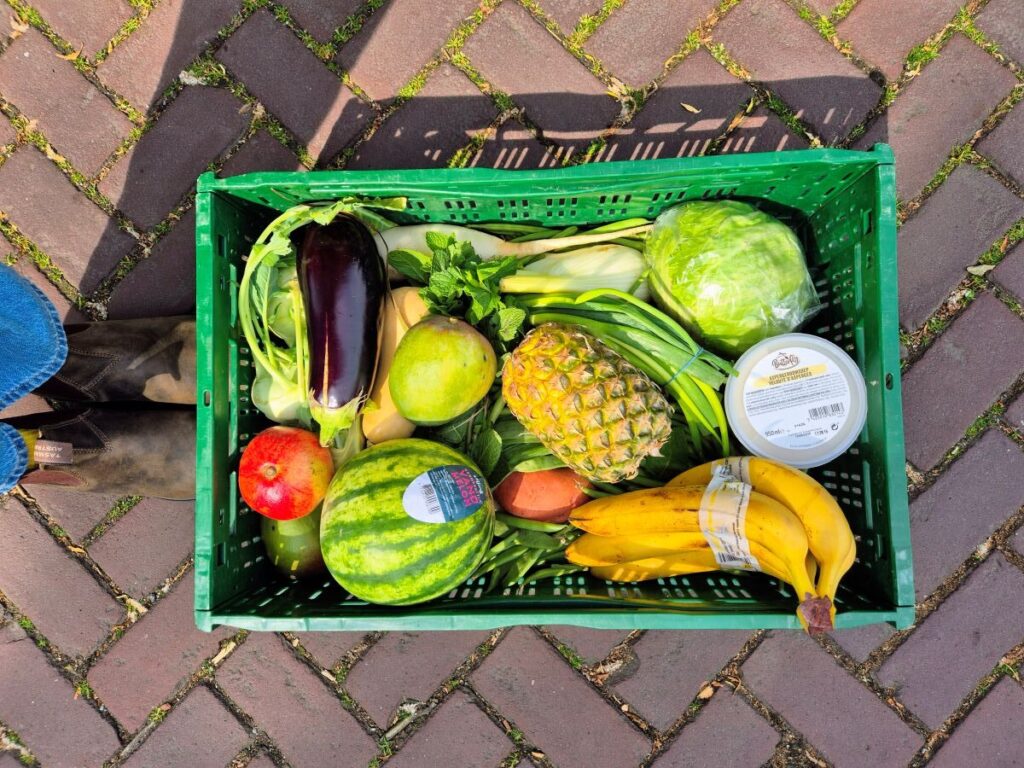 Veggiebox ervaring.