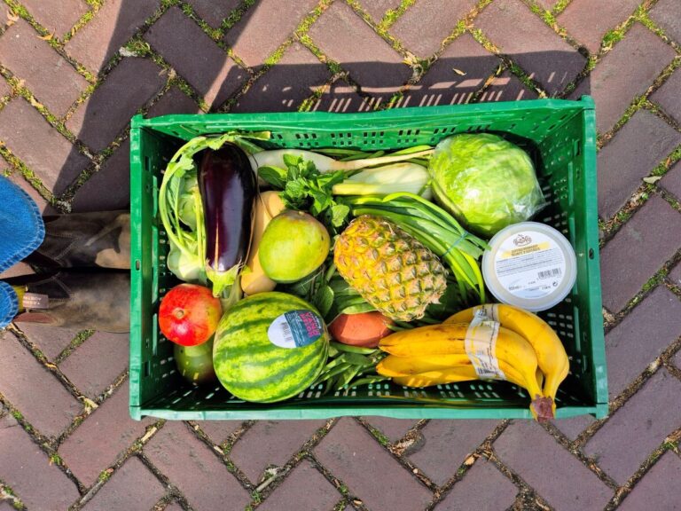 Veggiebox ervaring.