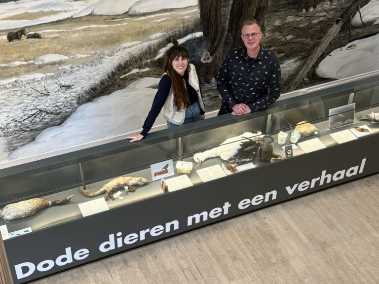 Statiegeld in de natuur: dode dieren met een verhaal.