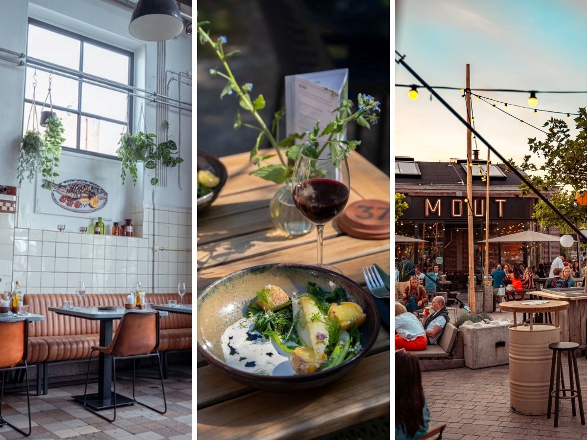 Nachhaltige Restaurants in Hilversum: Tipps!