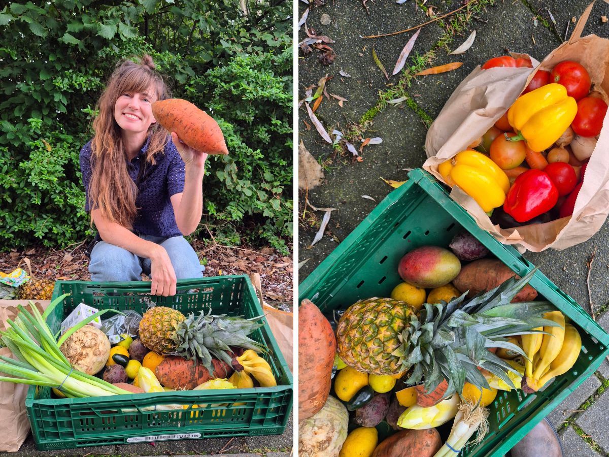 Save organic vegetables and fruits with Veggiebox.