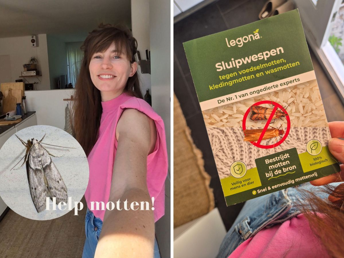 Motten bestrijden sluipwespen.